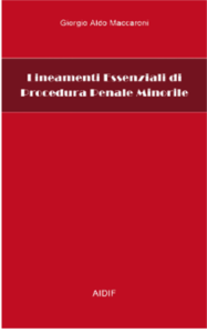 copertina lineamenti essenziali libro